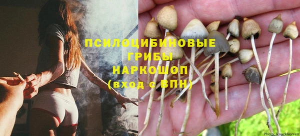 соль ск Навашино