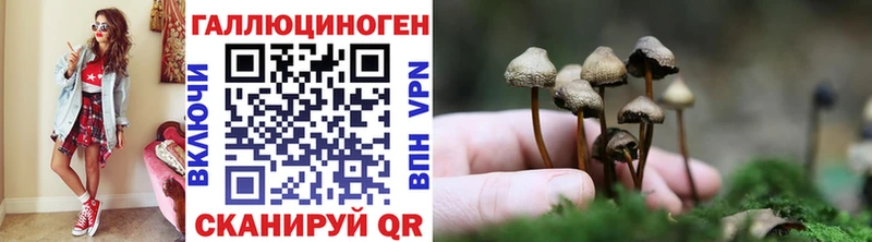 Галлюциногенные грибы Magic Shrooms Воронеж